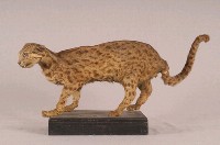 石虎藏品圖，第3張